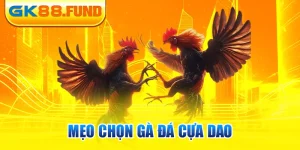 meo-chon-ga-da-cua-dao